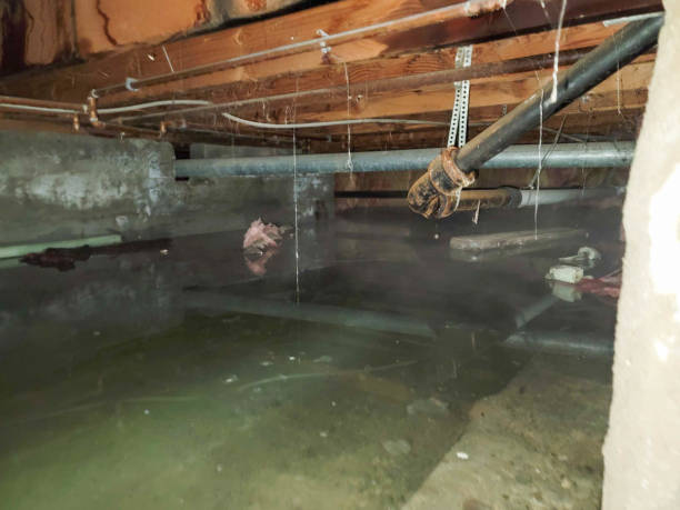 Best Water damage restoration near me  in Indian River Shores, FL