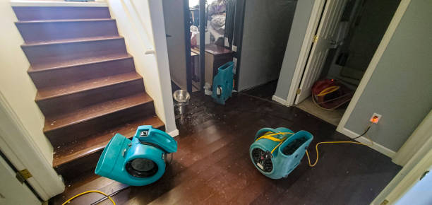 Best Water damage contractors near me  in Indian River Shores, FL