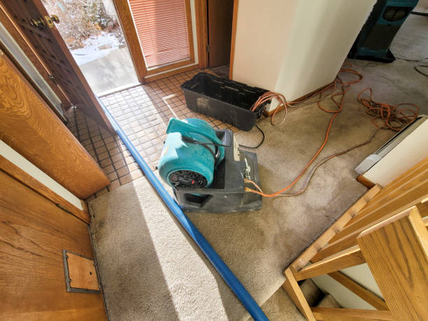 24/7 water damage repair in FL