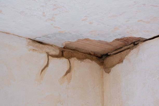 Best Water damage restoration cost  in Indian River Shores, FL