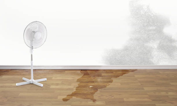Best Fire Damage Restoration  in Indian River Shores, FL