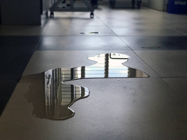 Best 24/7 water damage repair  in Indian River Shores, FL