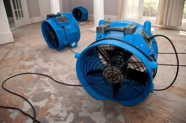 Best Water damage restoration process  in Indian River Shores, FL