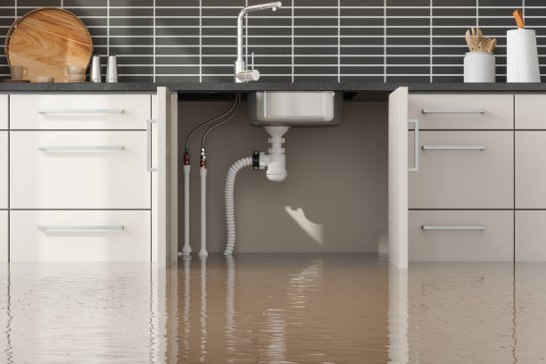 Best Water damage cleanup near me  in Indian River Shores, FL