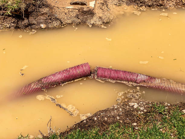 Best Water damage cleanup near me  in Indian River Shores, FL